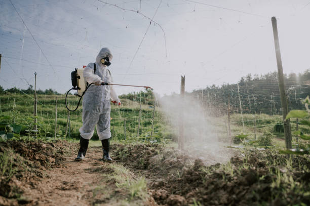 Best Local Pest Control Services  in Lewistown, MT