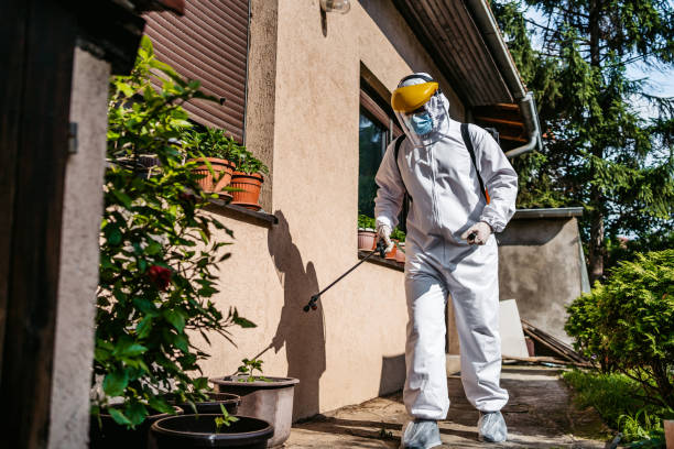 Flea Control Services in Lewistown, MT