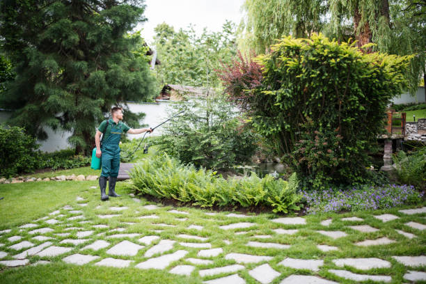 Best Pest Control for Homes  in Lewistown, MT