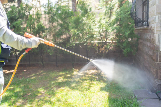 Wasp Removal Services in Lewistown, MT